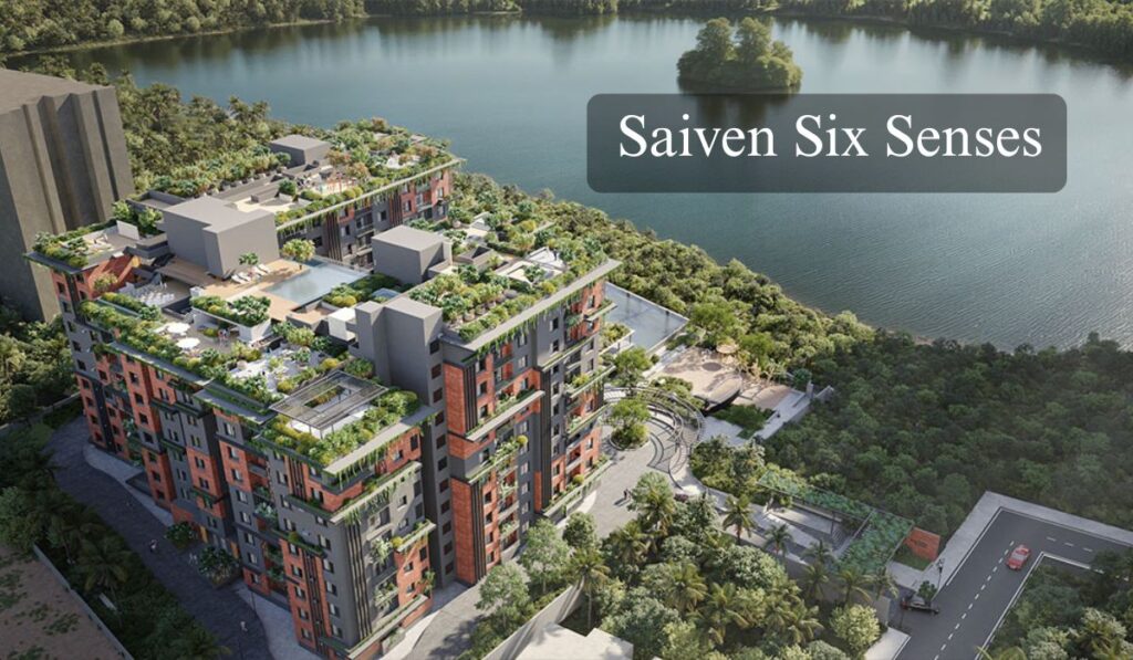 Saiven Six Senses Featured Image